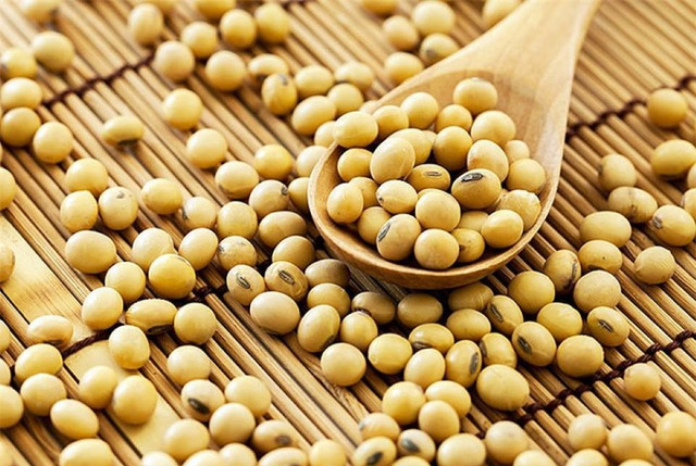 Thịt bò cực ngon, cực bổ nhưng có 4 thứ cấm kỵ không nên ăn cùng - Hình 2 Thit bo cuc ngon, cuc bo nhung co 4 thu cam ky khong nen an cung-Hinh-2