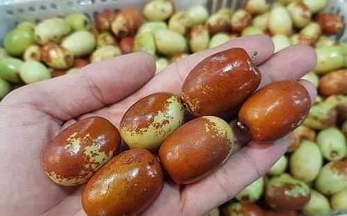 4 loại quả nên mang ra mộ thắp hương để tránh tai họa - Hình 2 4 loai qua nen mang ra mo thap huong de tranh tai hoa-Hinh-2