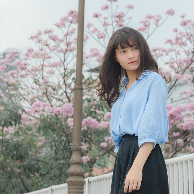 Chiêm ngưỡng những cung đường hoa kèn hồng nở rực rỡ ở TP HCM - Hình 6 Chiem nguong nhung cung duong hoa ken hong no ruc ro o TP HCM-Hinh-6