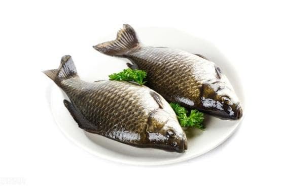 Kinh nghiệm chọn mua cá diếc đất và cá diếc ao - Hình 3 Kinh nghiem chon mua ca diec dat va ca diec ao-Hinh-3