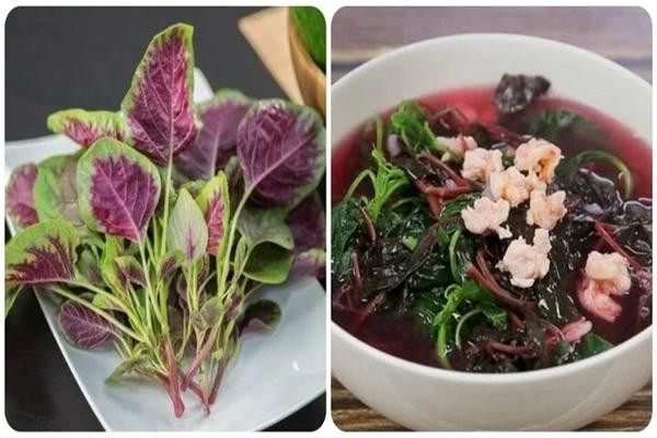 Loại rau "nhà nghèo" tốt ngang thịt bò, được gọi là rau trường thọ Loai rau