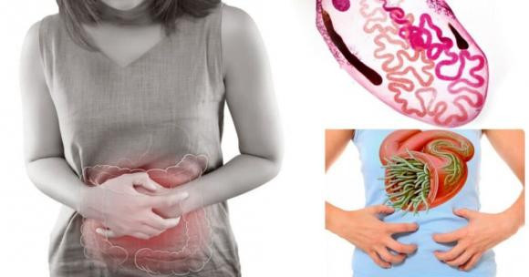 Có nên tẩy giun mỗi năm 1 lần? Co nen tay giun moi nam 1 lan?