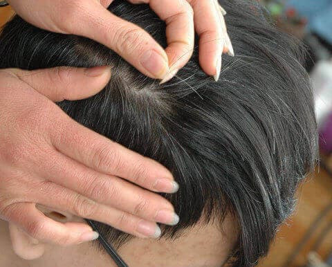 3 lý do không nên nhổ tóc bạc - Hình 3 3 ly do khong nen nho toc bac-Hinh-3