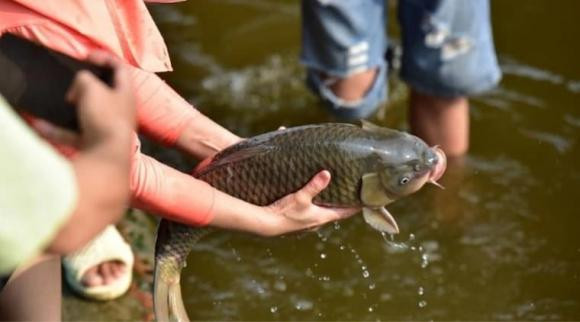 Làm những việc này trong ngày Rằm tháng Giêng để cả năm may mắn - Hình 5 Lam nhung viec nay trong ngay Ram thang Gieng de ca nam may man-Hinh-5