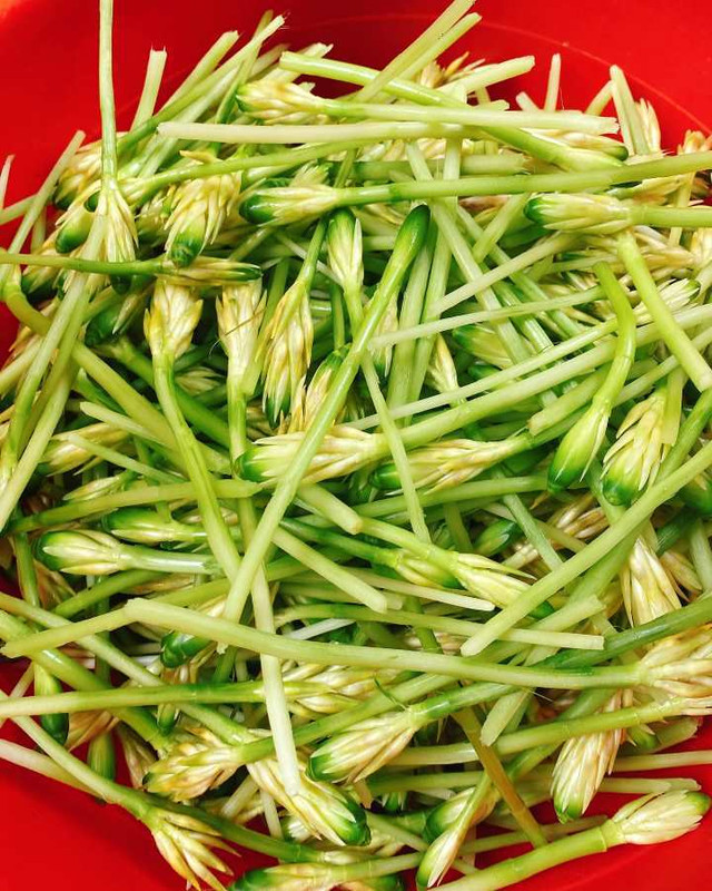 Loại hoa năm chỉ có 1 lần được chế biến nhiều món ăn lạ - Hình 3 Loai hoa nam chi co 1 lan duoc che bien nhieu mon an la-Hinh-3