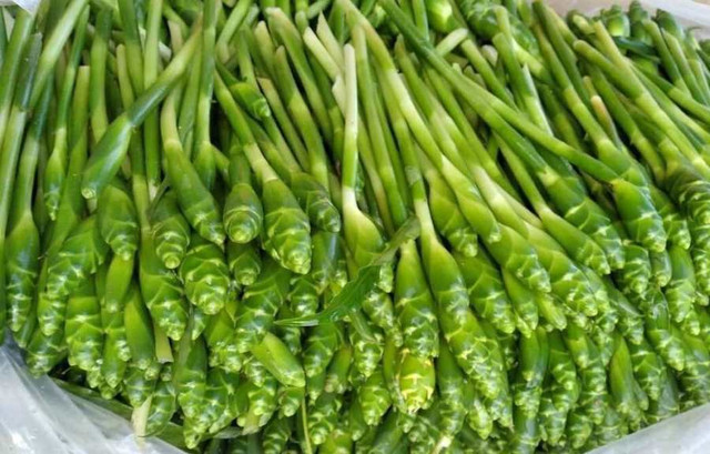 Loại hoa năm chỉ có 1 lần được chế biến nhiều món ăn lạ Loai hoa nam chi co 1 lan duoc che bien nhieu mon an la