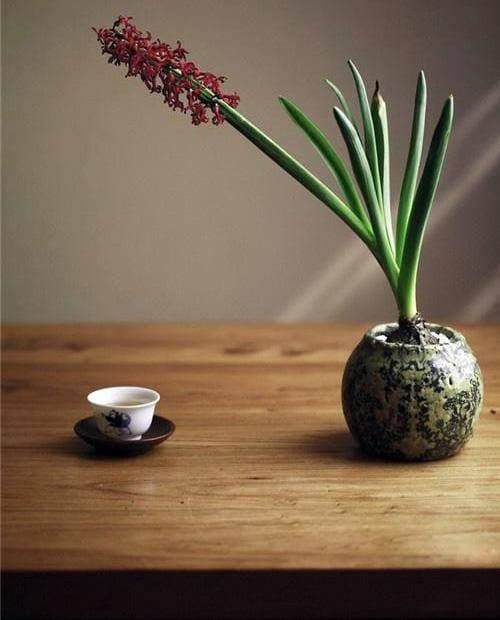 Tại sao "Bần nông không động tam nghệ, phú quý không gần tam nhân"? - Hình 6 Tai sao