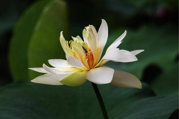 Những người có ngày sinh trùng với ngày cuối cùng này đều phú quý - Hình 2 Nhung nguoi co ngay sinh trung voi ngay cuoi cung nay deu phu quy-Hinh-2