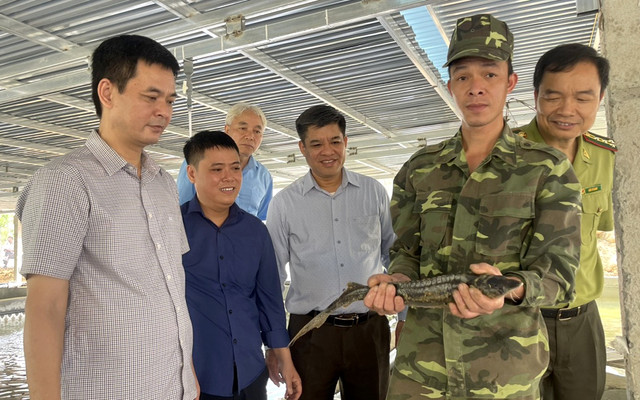 Phát triển cá chạch đồng từ trang trại đến bàn ăn, thu tiền tỷ - Hình 4 Phat trien ca chach dong tu trang trai den ban an, thu tien ty-Hinh-4