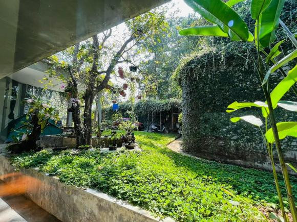 Ngôi nhà ngập tràn không gian xanh như rừng nhiệt đới ở Nghệ An - Hình 3 Ngoi nha ngap tran khong gian xanh nhu rung nhiet doi o Nghe An-Hinh-3