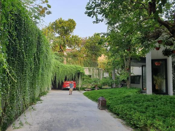 Ngôi nhà ngập tràn không gian xanh như rừng nhiệt đới ở Nghệ An - Hình 9 Ngoi nha ngap tran khong gian xanh nhu rung nhiet doi o Nghe An-Hinh-9