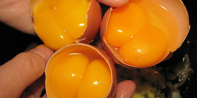 4 thực phẩm cholesterol cao chót vót, ăn nhiều mỡ máu tăng vùn vụt - Hình 2 4 thuc pham cholesterol cao chot vot, an nhieu mo mau tang vun vut-Hinh-2