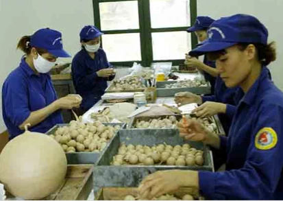 Đột nhập nhà máy Z121 phát nổ như bom ở Phú Thọ