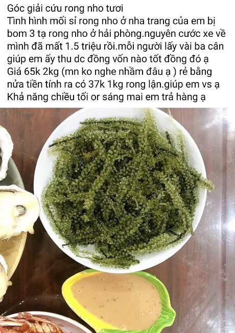 Loại rau của nhà giàu được bán tràn lan với giá siêu rẻ, chỉ từ 35 nghìn đồng/kg - Hình 3 Loai rau cua nha giau duoc ban tran lan voi gia sieu re, chi tu 35 nghin dong/kg-Hinh-3