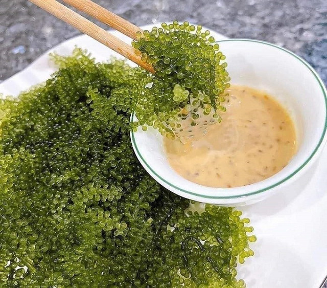 Loại rau của nhà giàu được bán tràn lan với giá siêu rẻ, chỉ từ 35 nghìn đồng/kg - Hình 4 Loai rau cua nha giau duoc ban tran lan voi gia sieu re, chi tu 35 nghin dong/kg-Hinh-4