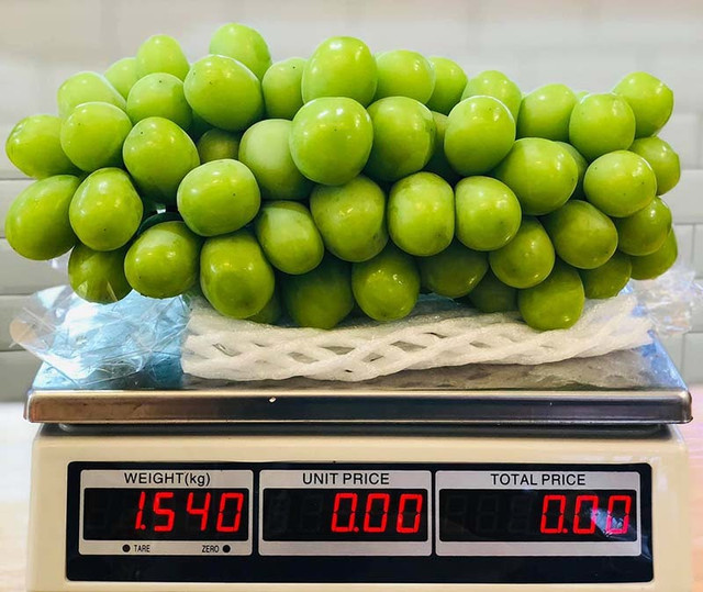 Nho sữa Hàn Quốc 1,2 triệu/kg, mỗi tuần nhập 3 tấn không đủ bán - Hình 2 Nho sua Han Quoc 1,2 trieu/kg, moi tuan nhap 3 tan khong du ban-Hinh-2