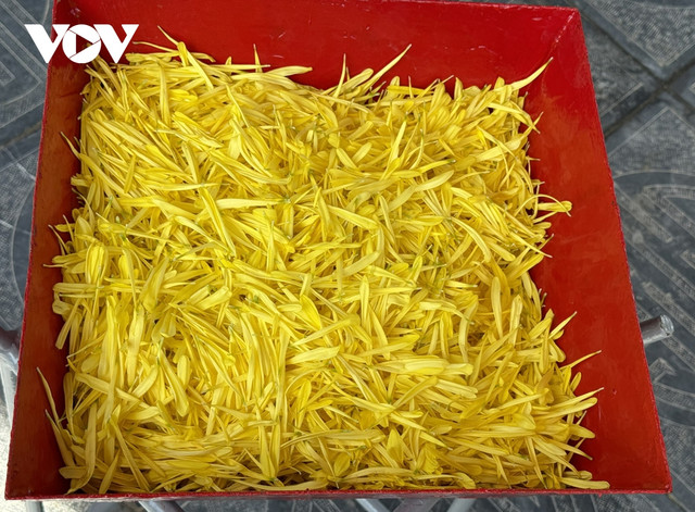 Tổng Bí thư Nguyễn Phú Trọng về với đất mẹ - Hình 16 Tong Bi thu Nguyen Phu Trong ve voi dat me-Hinh-16