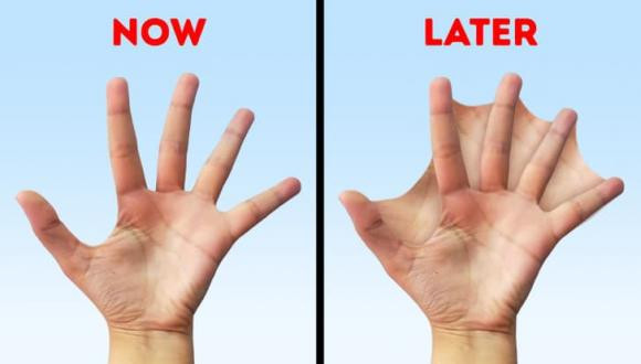 Con người sẽ tiến hóa thế nào trong tương lai? Con nguoi se tien hoa the nao trong tuong lai?