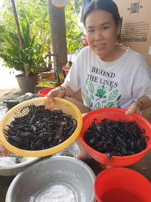 Tuyệt chiêu dùng kiến săn thần dược, kiếm được cả triệu đồng dễ như chơi - Hình 4 Tuyet chieu dung kien san than duoc, kiem duoc ca trieu dong de nhu choi-Hinh-4
