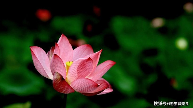 Ngày sinh Âm lịch kết thúc bằng 3 số vàng mười, sớm giàu sang - Hình 2 Ngay sinh Am lich ket thuc bang 3 so vang muoi, som giau sang-Hinh-2