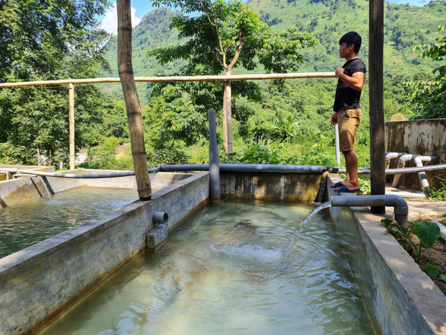 Nhiều hồ nuôi ở Việt Nam bỏ hoang, nông dân khốn đốn vì cá tầm Trung Quốc giá rẻ - Hình 9 Nhieu ho nuoi o Viet Nam bo hoang, nong dan khon don vi ca tam Trung Quoc gia re-Hinh-9