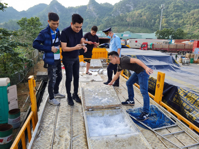 Nhiều hồ nuôi ở Việt Nam bỏ hoang, nông dân khốn đốn vì cá tầm Trung Quốc giá rẻ - Hình 6 Nhieu ho nuoi o Viet Nam bo hoang, nong dan khon don vi ca tam Trung Quoc gia re-Hinh-6