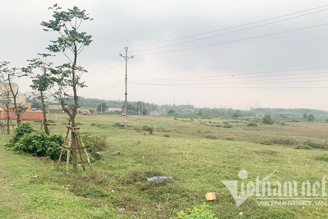 Sốt hầm hập từ phố về làng: Giá thực, giá ảo tranh nhau mua hết Sot ham hap tu pho ve lang: Gia thuc, gia ao tranh nhau mua het