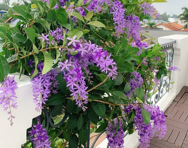 Sau 3 năm ly hôn, tôi vẫn chờ vợ cũ quay lại và xin tái hôn Sau 3 nam ly hon, toi van cho vo cu quay lai va xin tai hon