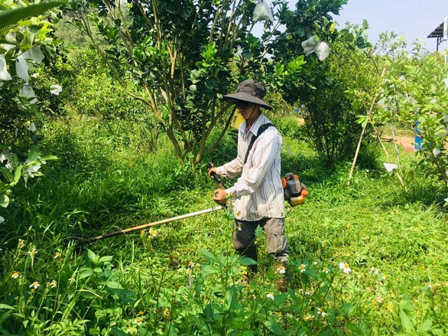 Thầy giáo trẻ có thu nhập nửa tỷ đồng nhờ công việc làm thêm - Hình 2 Thay giao tre co thu nhap nua ty dong nho cong viec lam them-Hinh-2