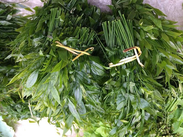 Món rau lạ trên rừng về thủ đô, 200 nghìn/kg vẫn "cháy hàng" - Hình 4 Mon rau la tren rung ve thu do, 200 nghin/kg van