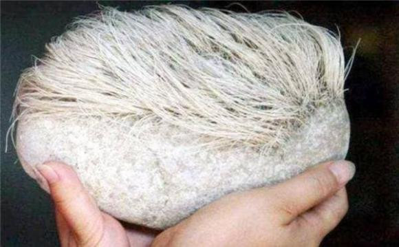 Nhặt đá lạ mọc lông trắng, chuyên gia định giá hàng tỷ đồng - Hình 3 Nhat da la moc long trang, chuyen gia dinh gia hang ty dong-Hinh-3