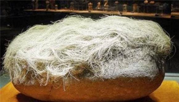 Nhặt đá lạ mọc lông trắng, chuyên gia định giá hàng tỷ đồng Nhat da la moc long trang, chuyen gia dinh gia hang ty dong
