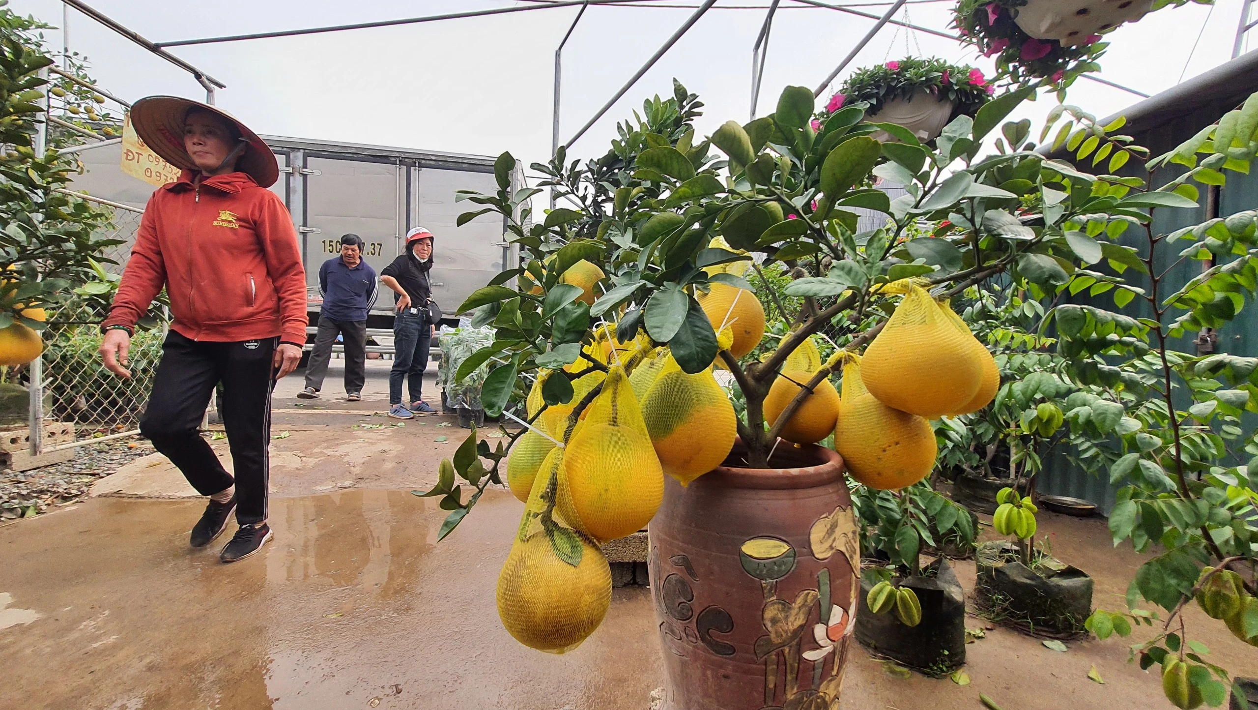 Dư âm COVID-19, làng hoa Xuân Quan kém nhộn nhịp ngày cận Tết