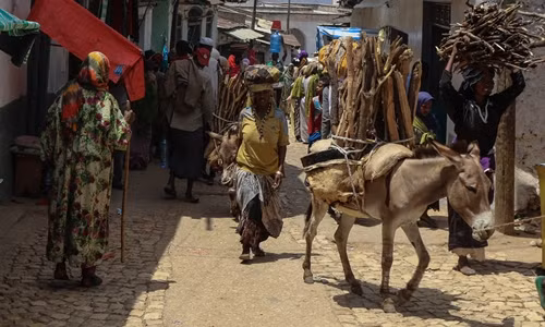 Chiêm ngưỡng thành phố cổ Harar: Mê cung ở đông Ethiopia