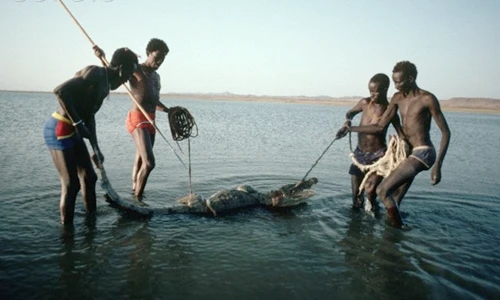Chùm ảnh bộ tộc “nhỏ” săn cá sấu “lớn” ở Châu Phi