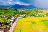 Lợi ích của nhịp sống chậm ở làng quê đối với sức khỏe tâm lý