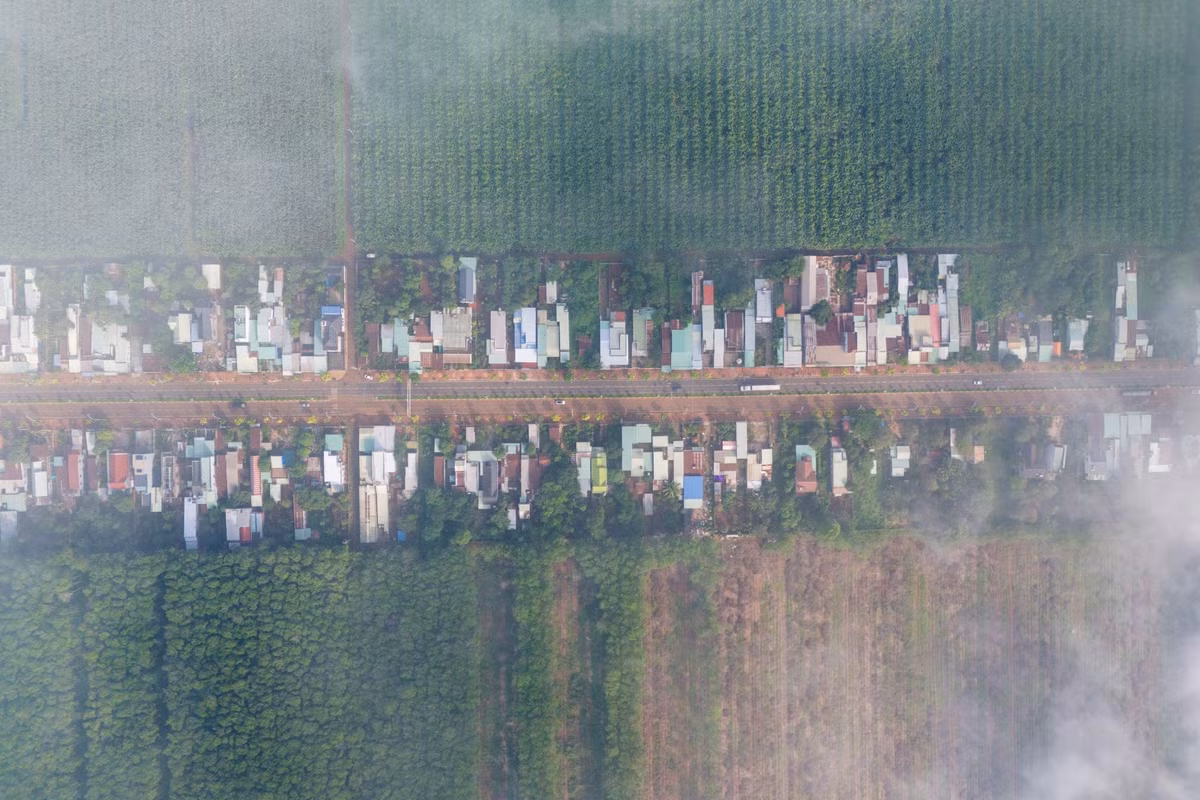 Toàn cảnh nông trường cao su Bình Ba và Quốc lộ 56 nhìn từ trên cao, nơi tuyến cao tốc Long Thành - Hồ Tràm sẽ băng qua.