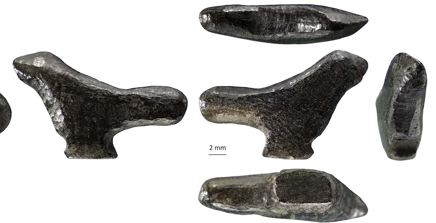 Lộ diện tượng chim cổ nhất Đông Á làm thay đổi lịch sử nghệ thuật