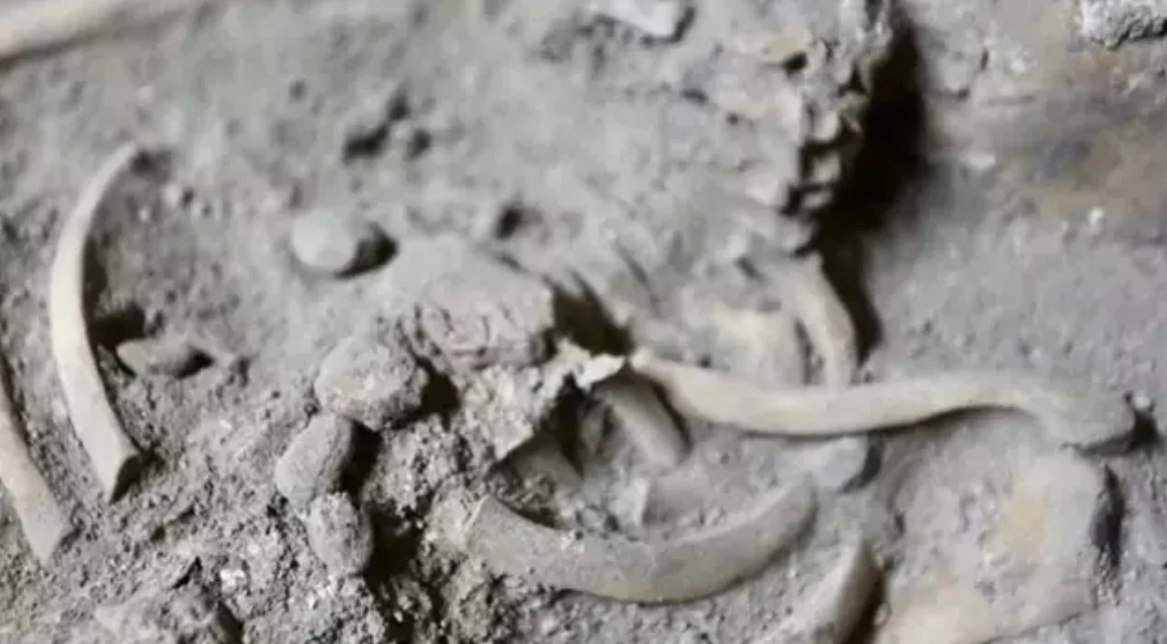 Hài cốt trẻ 29.000 năm tuổi hé lộ bí mật người tiền sử Thái Lan