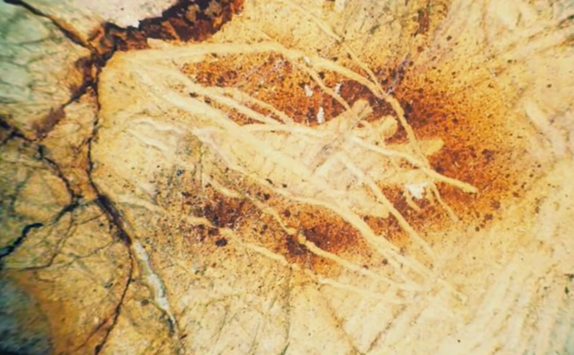 Phát hiện 65 'bàn tay' bí ẩn trên đá 27.000 năm tuổi