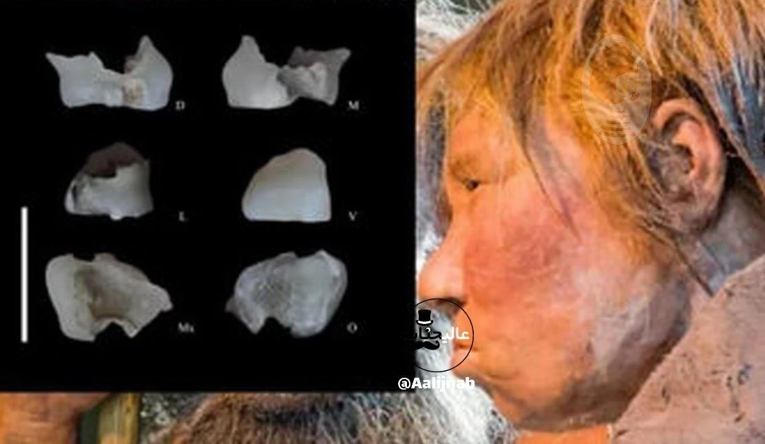 Phát hiện hài cốt 700.000 năm tại Iran viết lại lịch sử nhân loại?