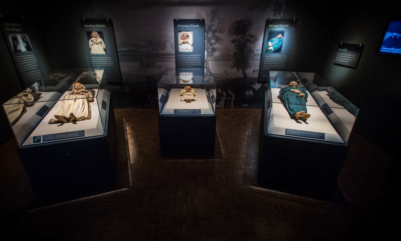 Bật nắp quan tài 2.000 năm tuổi, cảnh tượng bên trong gây choáng