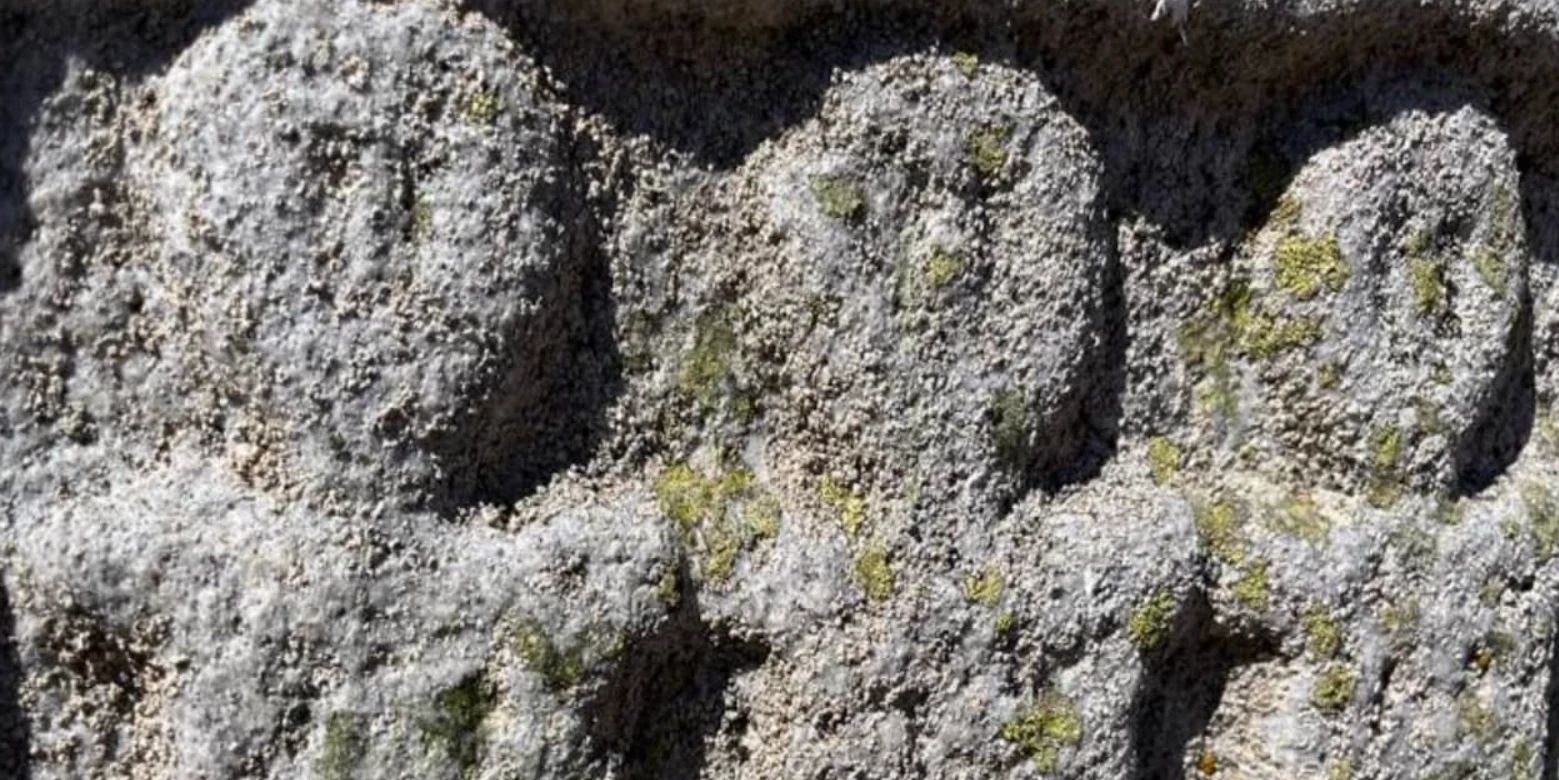 Bia đá bí ẩn từ Tây Ban Nha hé lộ nữ thần Celtic cổ đại