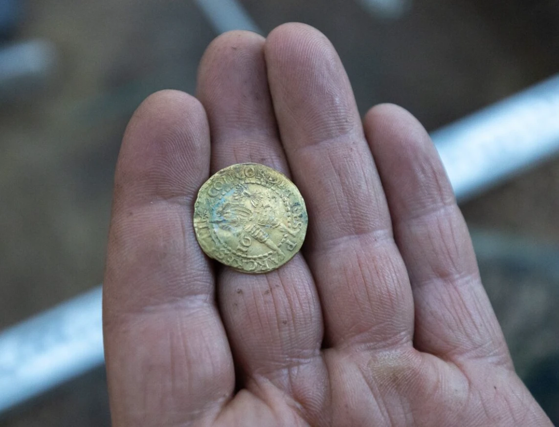 Kho báu 69 đồng tiền xu cổ bỗng trồi lên giữa lớp rêu rừng