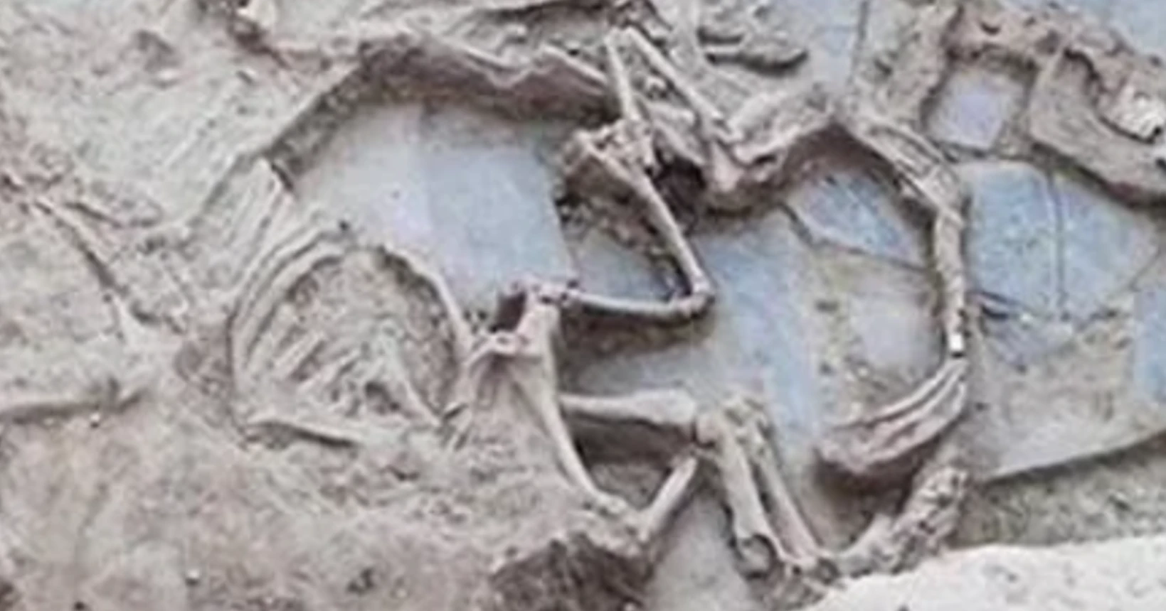 Sự thật về những con ngựa tế lễ Thời Kỳ Đồ Sắt cách đây 2.500 năm