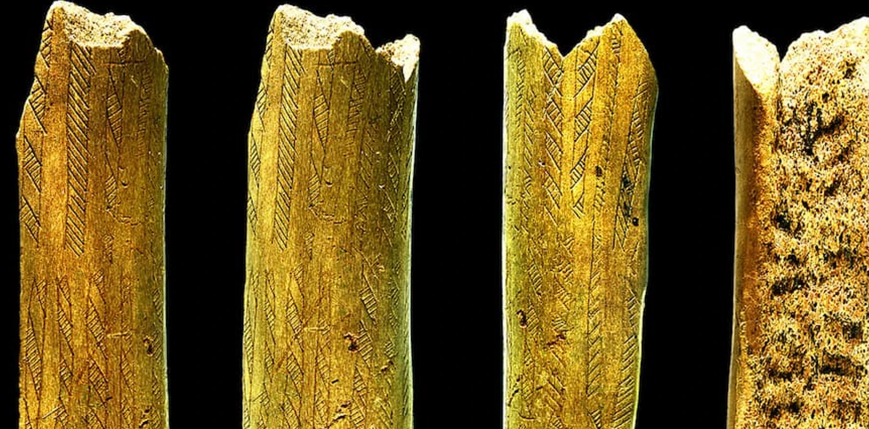 Mảnh sừng hươu trang trí từ Thời kỳ Đồ Đá Giữa hé lộ bí ẩn cổ đại