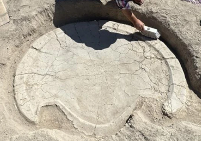 Phát hiện chấn động bàn thờ hình đầu bò cổ xưa cách nay 6.000