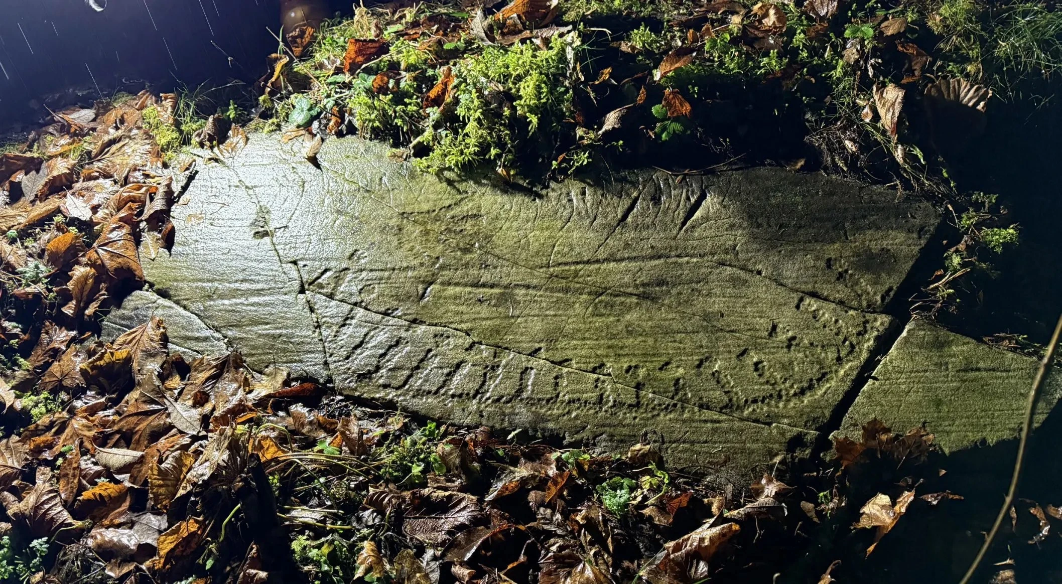 Bất ngờ phát hiện tàu cổ 'ngự' trên vách đá 3.000 năm trước