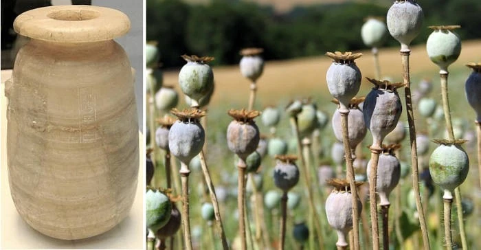 Chiếc bình thạch cao bí ẩn ở Ai Cập chứa bằng chứng rợn người