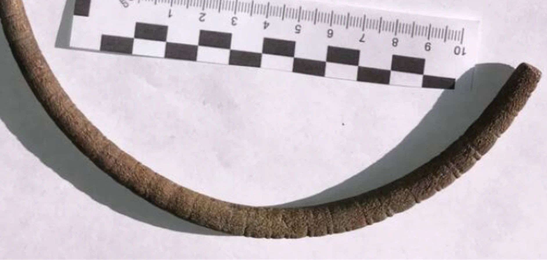 Thu dọn đồng cỏ, nông dân phát hiện chiếc vòng cổ đồng 2.500 tuổi 